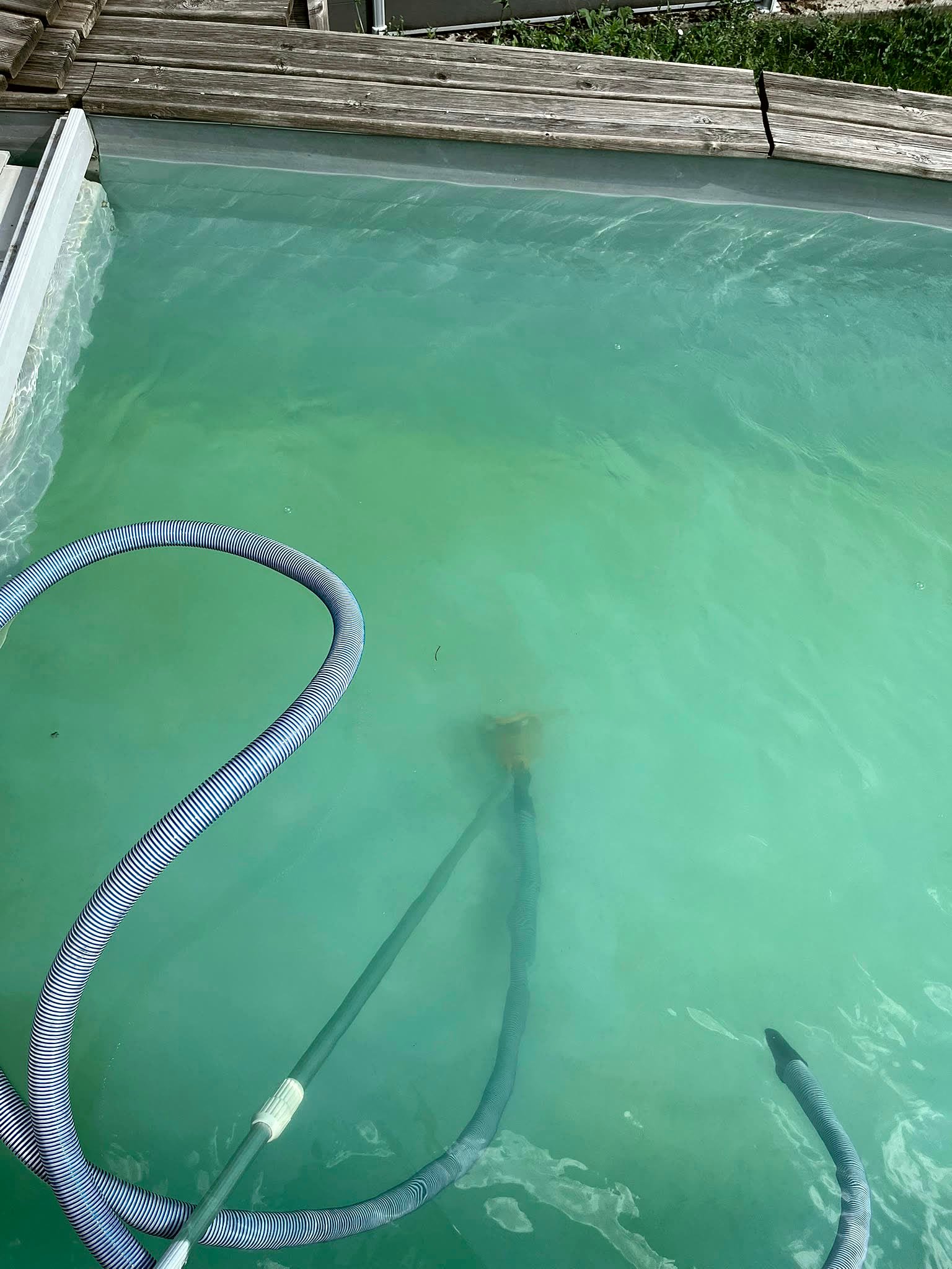 Bassin de piscine entretenu